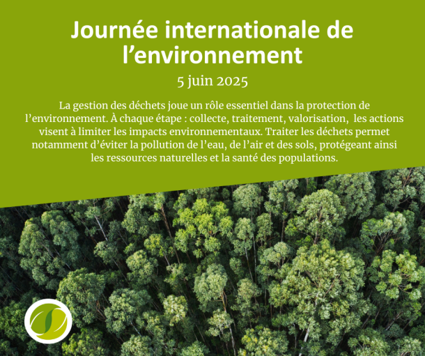journée internationale de l'envrionnement