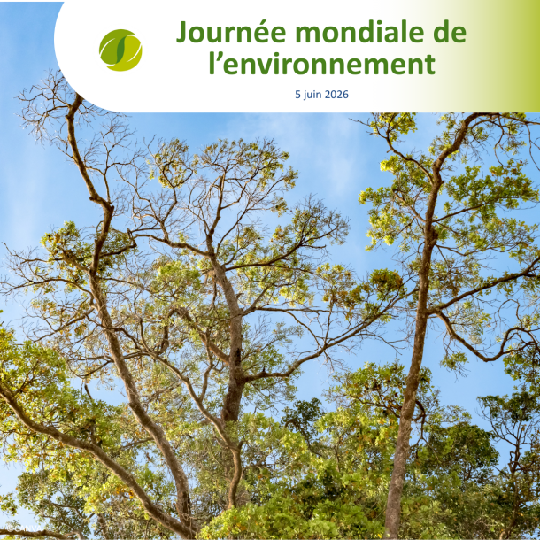 visuel journée mondiale de l'environnement